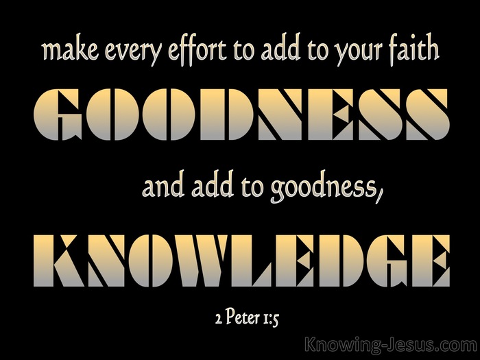 What Does 2 Peter 1 5 Mean what-does-2-peter-1-5-mean